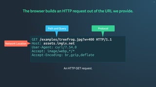 GET /examples/treefrog.jpg?w=400 HTTP/1.1
Host: assets.imgix.net
User-Agent: curl/7.54.0
Accept: image/webp,*/*
Accept-Encoding: br,gzip,deflate
The browser builds an HTTP request out of the URL we provide.
Path and Query Protocol
Network Location
An HTTP GET request.
 