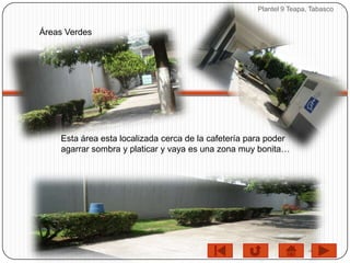 Plantel 9 Teapa, Tabasco


Áreas Verdes




    Esta área esta localizada cerca de la cafetería para poder
    agarrar sombra y platicar y vaya es una zona muy bonita…
 