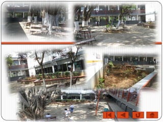 Plantel 9 Teapa, Tabasco
 