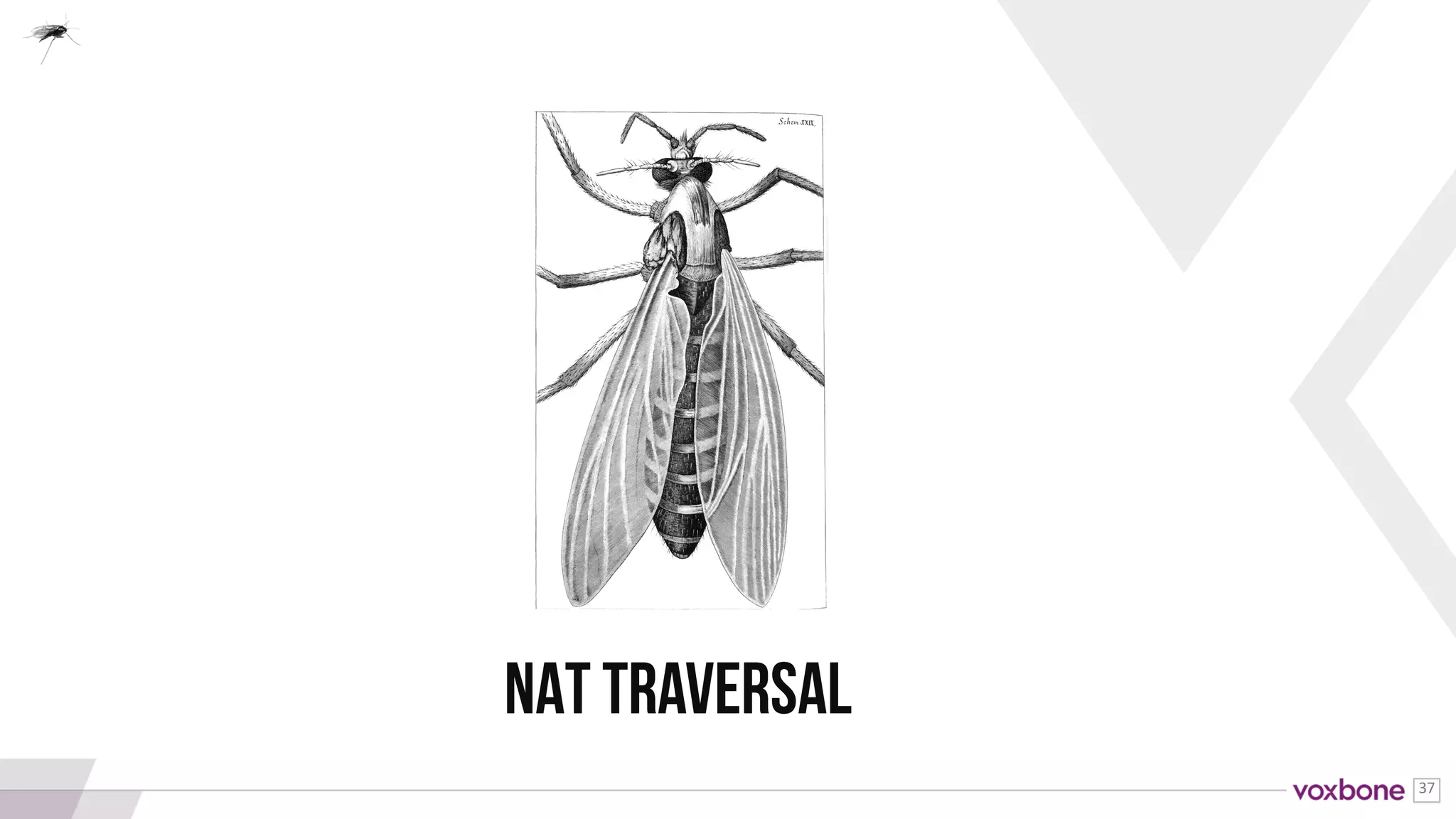 37
A protocol for establishing a peer-to-peer media
connection between peers behind NAT and firewall
devices.
Interactive Connectivity Establishment (ICE)
 