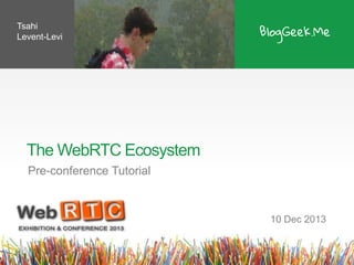 Tsahi
Levent-Levi

The WebRTC Ecosystem
Pre-conference Tutorial

10 Dec 2013

 