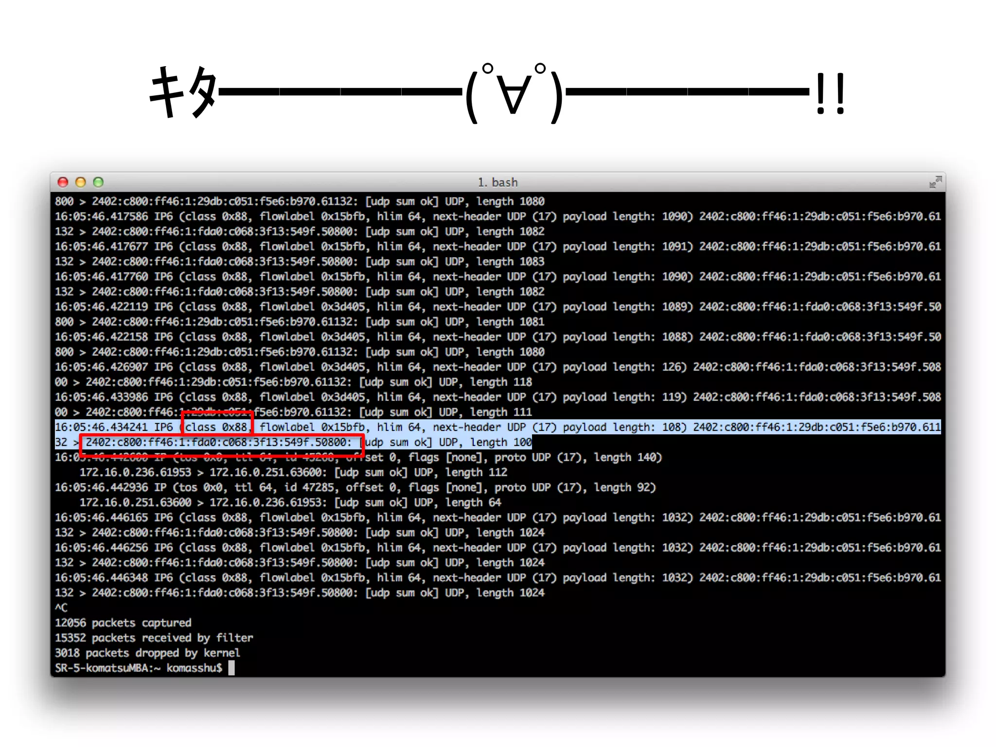 ｷﾀ━━━━(ﾟ∀ﾟ)━━━━!! 
 