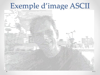 Exemple d’image ASCII
11
 