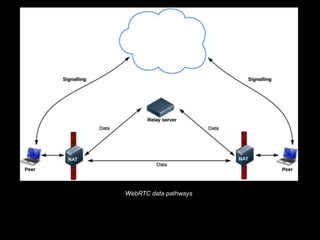 WebRTC data pathways
 