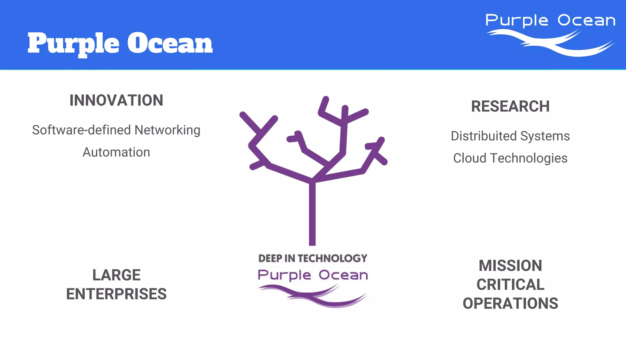 Purple Ocean
LARGE
ENTERPRISES
MISSION
CRITICAL
OPERATIONS
INNOVATION
Software-defined Networking
Automation
RESEARCH
Distribuited Systems
Cloud Technologies
 