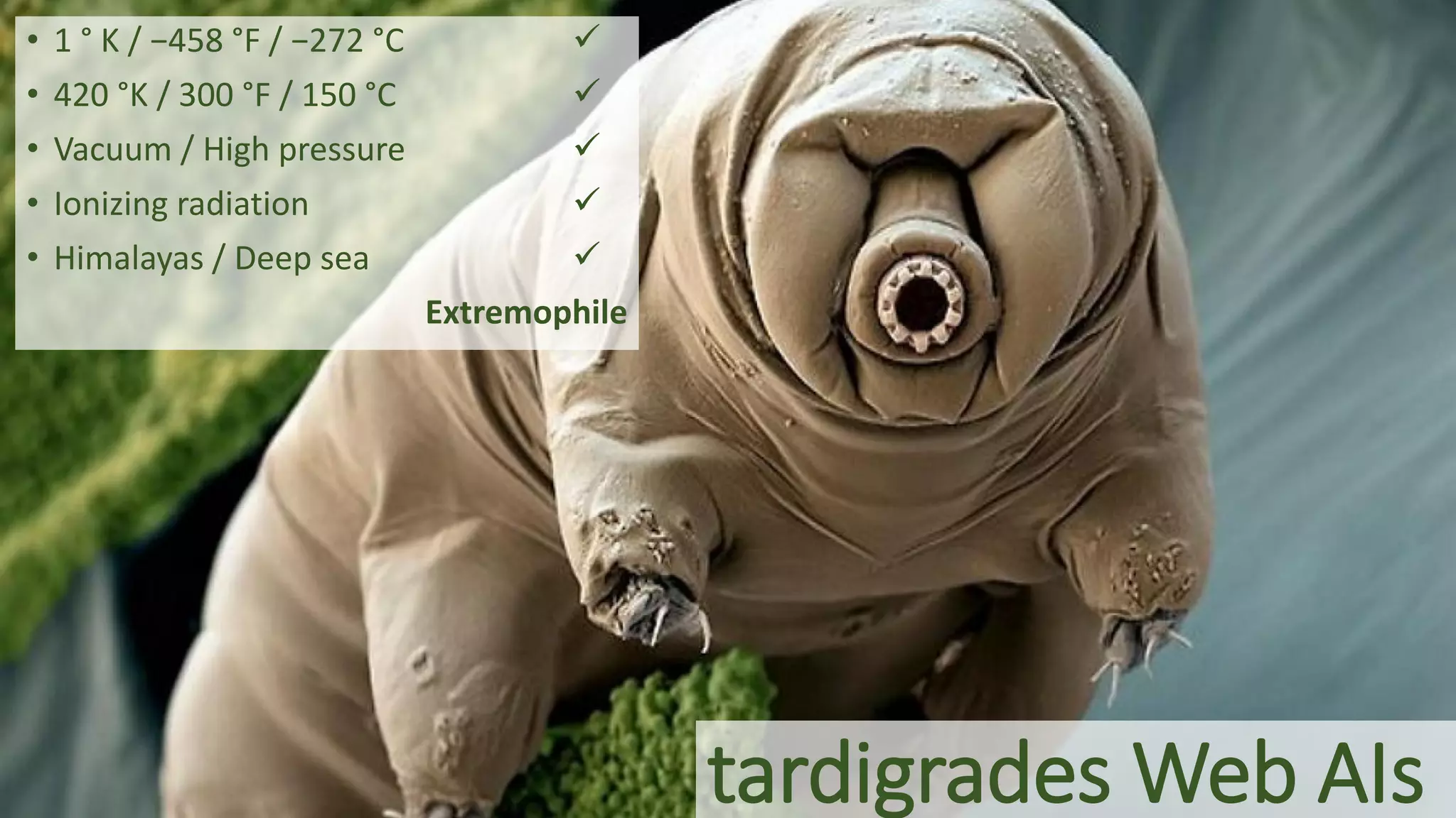 tardigrades Web AIs
• 1 ° K / −458 °F / −272 °C 
• 420 °K / 300 °F / 150 °C 
• Vacuum / High pressure 
• Ionizing radiation 
• Himalayas / Deep sea 
Extremophile
 
