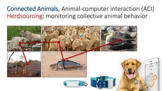 Consider a Web of intelligence linking
 Web of Animals: connected animals to predict earthquakes
 Web of Things, Web of ...