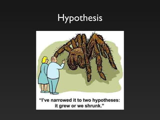 Hypothesis
 