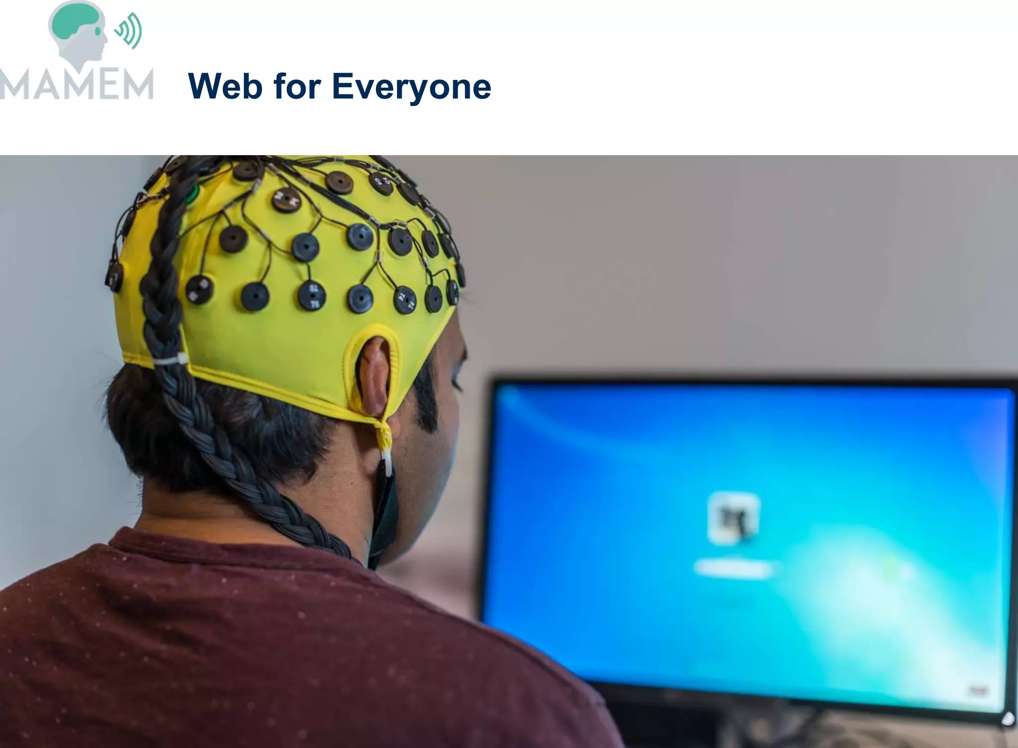 Web for Everyone
 
