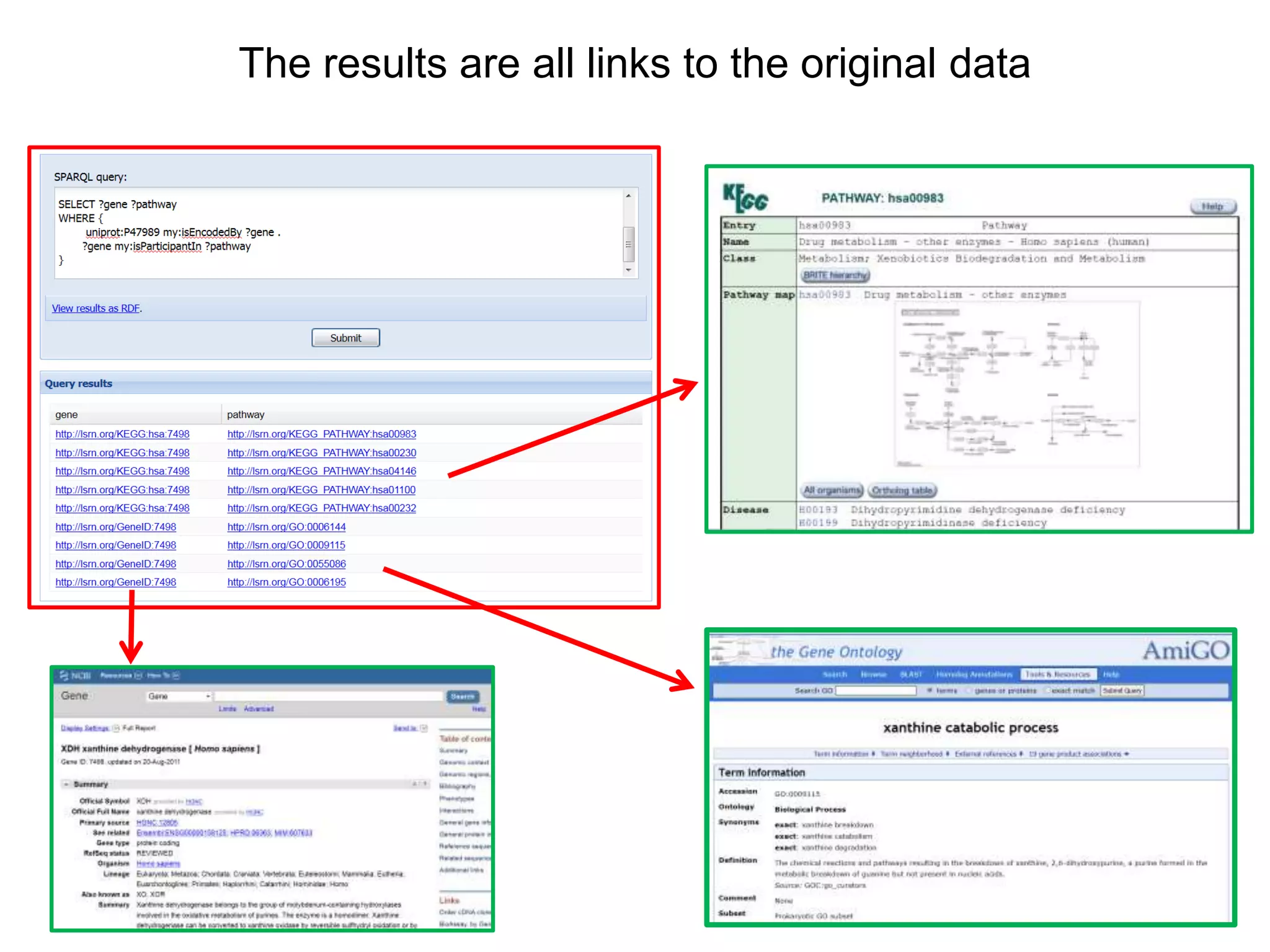 The results are all links to the original data
 