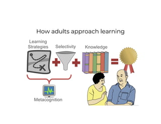 How adults approach learning
Learning
Strategies Knowledge
Selectivity
Metacognition
 