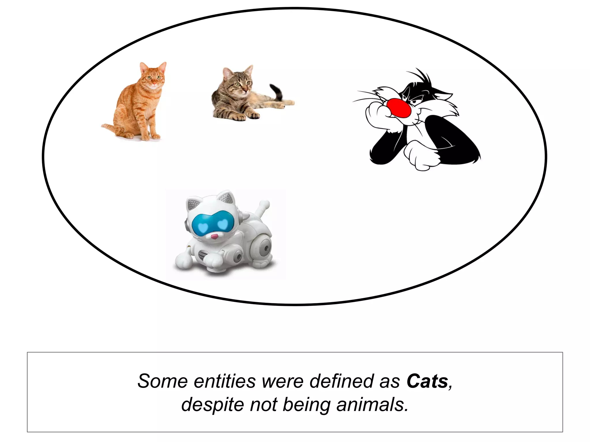 Some entities were defined as Cats,
despite not being animals.
 