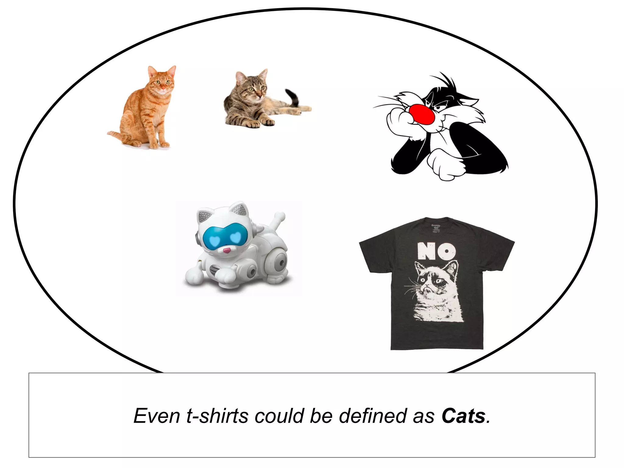 Even t-shirts could be defined as Cats.
 