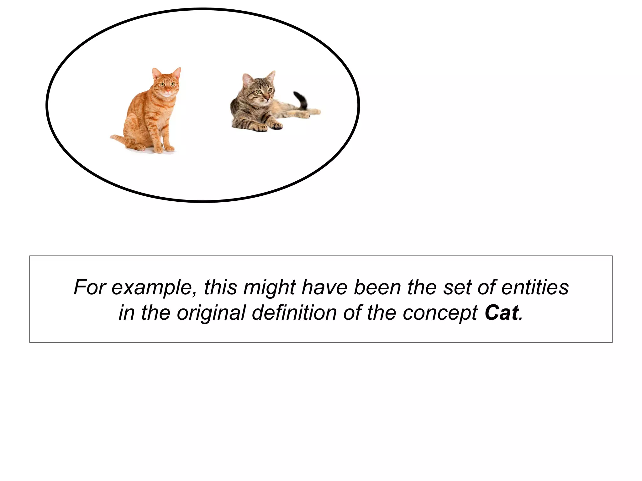 For example, this might have been the set of entities
in the original definition of the concept Cat.
 