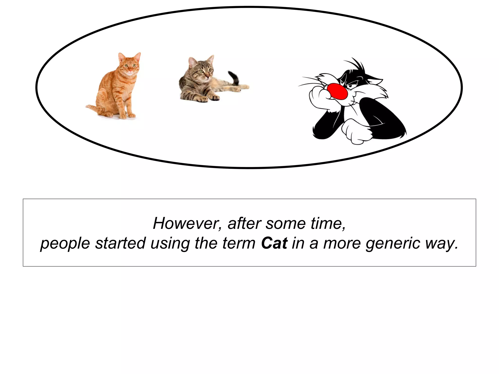 However, after some time,
people started using the term Cat in a more generic way.
 