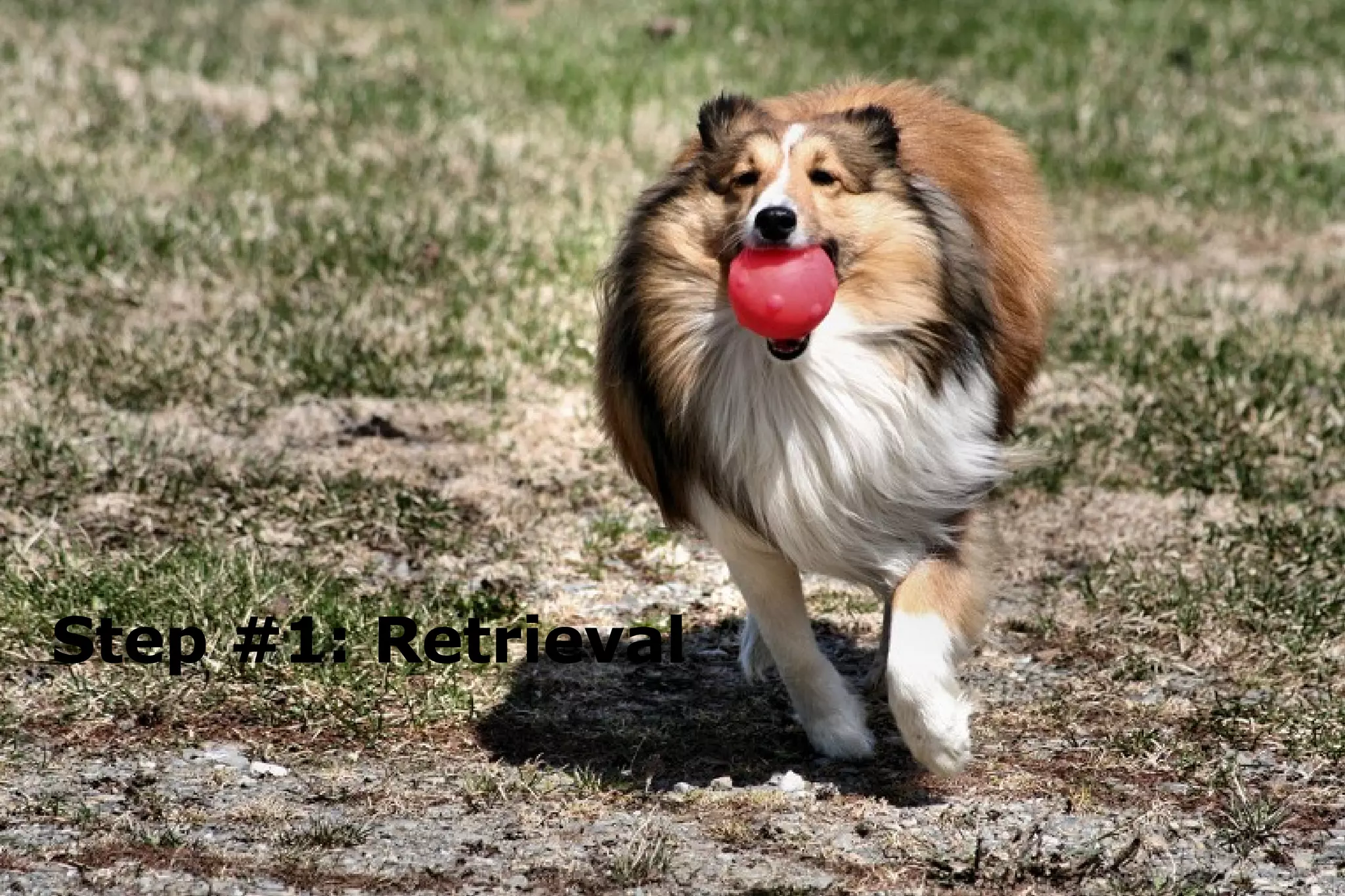 Step #1: Retrieval 
