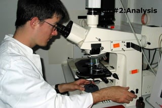 Step #2:Analysis 