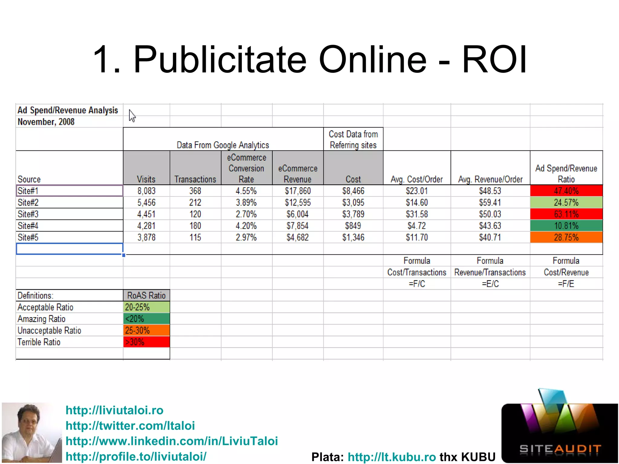 1. Publicitate Online - ROI 