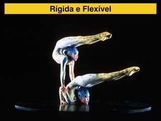 Rígida e Flexível

 