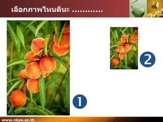 เลือกภาพไหนดีนะ  ............   