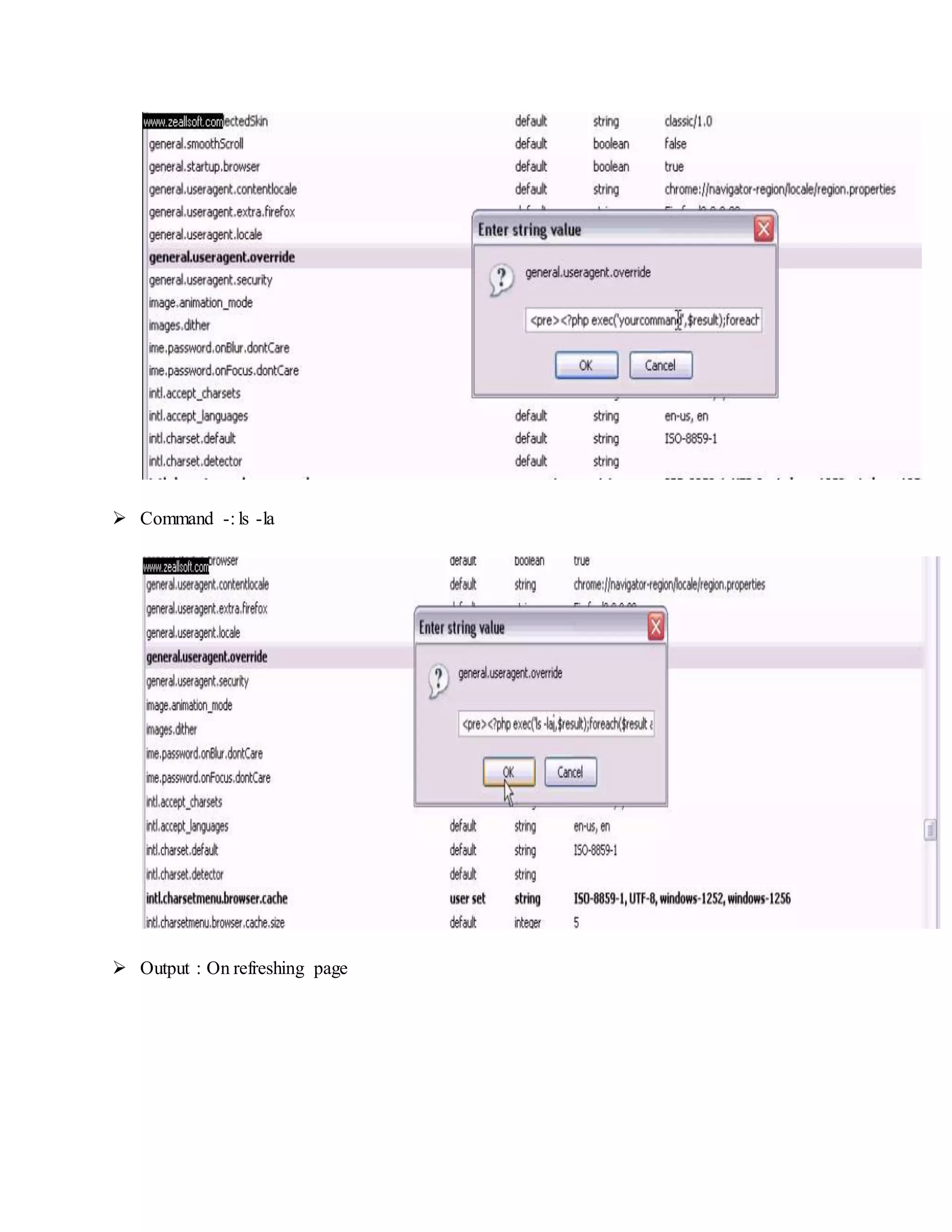  Command -: ls -la
 Output : On refreshing page
 