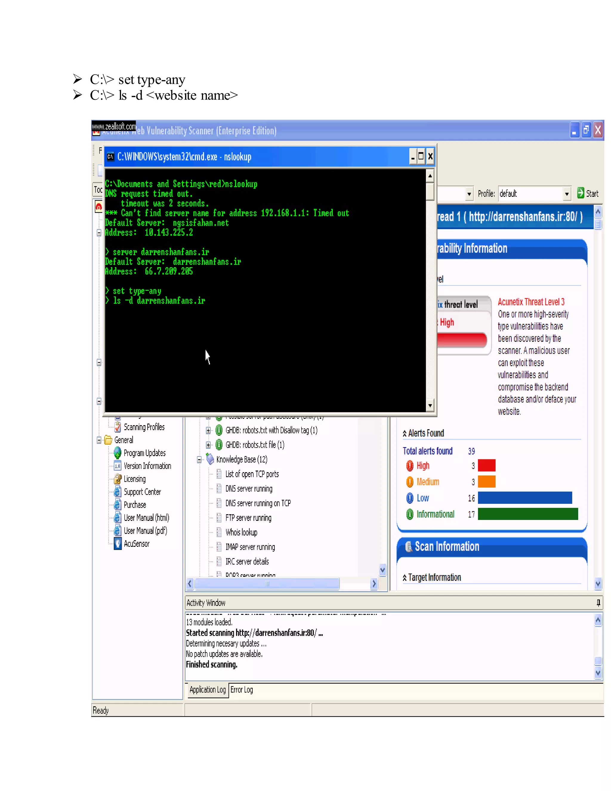  C:> set type-any
 C:> ls -d <website name>
 