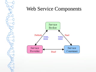 Web Service Components
 