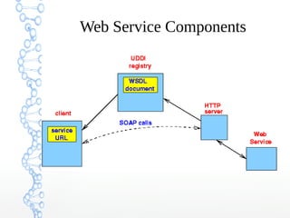 Web Service Components
 