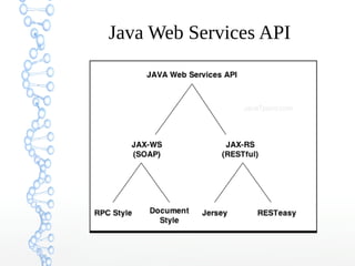 Java Web Services API
 