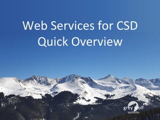 Web Services for CSD
Quick Overview
 
