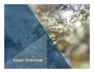 Asset Overview
 