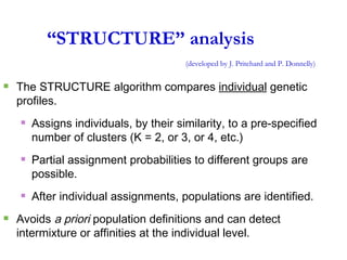 “ STRUCTURE” analysis (developed by J. Pritchard and P. Donnelly) The STRUCTURE algorithm compares  individual  genetic  profiles. Assigns individuals, by their similarity, to a pre-specified number of clusters (K = 2, or 3, or 4, etc.) Partial assignment probabilities to different groups are possible. After individual assignments, populations are identified.  Avoids  a priori  population definitions and can detect intermixture or affinities at the individual level. 