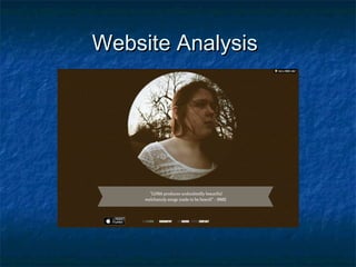 Website AnalysisWebsite Analysis
 