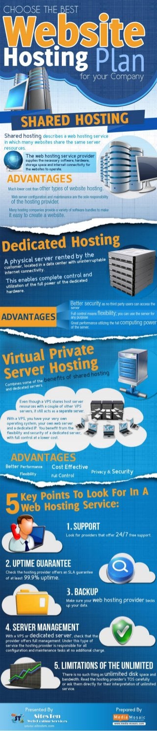 Which Web Hosting Plan Would You Choose for Your Company