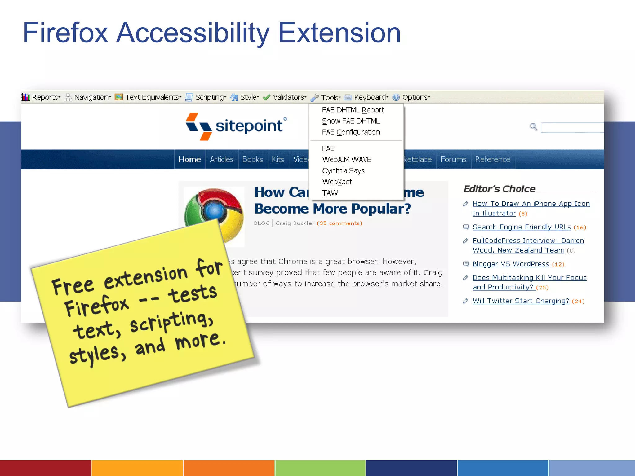 Firefox Accessibility Extension
 