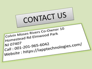 Website application developers