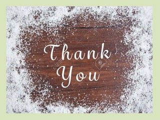 Website application developers