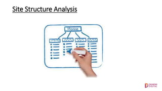 Site Structure Analysis
 
