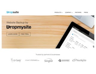 Website Backup by Dropsuite
