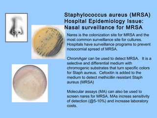 Bacteriology | PPT