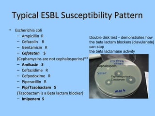 Bacteriology | PPT