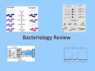 Bacteriology Review

 