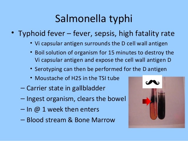 Bacteriology