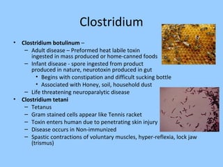 Clostridium
• Clostridium botulinum –
– Adult disease – Preformed heat labile toxin
ingested in mass produced or home-canned foods
– Infant disease - spore ingested from product
produced in nature, neurotoxin produced in gut
• Begins with constipation and difficult sucking bottle
• Associated with Honey, soil, household dust
– Life threatening neuroparalytic disease
• Clostridium tetani
– Tetanus
– Gram stained cells appear like Tennis racket
– Toxin enters human due to penetrating skin injury
– Disease occurs in Non-immunized
– Spastic contractions of voluntary muscles, hyper-reflexia, lock jaw
(trismus)
 