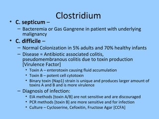 Clostridium
• C. septicum –
– Bacteremia or Gas Gangrene in patient with underlying
malignancy
• C. difficile –
– Normal Colonization in 5% adults and 70% healthy infants
– Disease = Antibiotic associated colitis,
pseudomembranous colitis due to toxin production
[Virulence Factor]
• Toxin A – enterotoxin causing fluid accumulation
• Toxin B – potent cell cytotoxin
• Binary toxin (Nap1) strain is unique and produces larger amount of
toxins A and B and is more virulence
– Diagnosis of infection:
• EIA methods [toxin A/B] are not sensitive and are discouraged
• PCR methods [toxin B] are more sensitive and for infection
• Culture – Cycloserine, Cefoxitin, Fructose Agar [CCFA]
 
