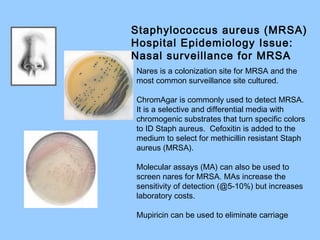 Nares is a colonization site for MRSA and the
most common surveillance site cultured.
ChromAgar is commonly used to detect MRSA.
It is a selective and differential media with
chromogenic substrates that turn specific colors
to ID Staph aureus. Cefoxitin is added to the
medium to select for methicillin resistant Staph
aureus (MRSA).
Molecular assays (MA) can also be used to
screen nares for MRSA. MAs increase the
sensitivity of detection (@5-10%) but increases
laboratory costs.
Mupiricin can be used to eliminate carriage
Staphylococcus aureus (MRSA)
Hospital Epidemiology Issue:
Nasal surveillance for MRSA
 