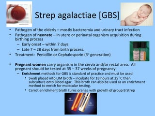 Strep agalactiae [GBS]
• Pathogen of the elderly – mostly bacteremia and urinary tract infection
• Pathogen of neonate – in utero or perinatal organism acquisition during
birthing process
– Early onset – within 7 days
– Late 7 – 28 days from birth process.
• Treatment: Penicillin or Cephalosporin (3rd
generation)
• Pregnant women carry organism in the cervix and/or rectal area. All
pregnant should be tested at 35 – 37 weeks of pregnancy.
– Enrichment methods for GBS is standard of practice and must be used
• Swab placed into LIM broth – incubate for 18 hours at 35 ˚C then
subculture onto Blood agar. This broth can also be used as an enrichment
method to enrich for molecular testing.
• Carrot enrichment broth turns orange with growth of group B Strep
Carrot Broth
 