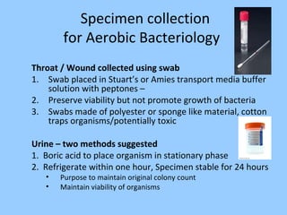 Specimen collection
for Aerobic Bacteriology
Throat / Wound collected using swab
1. Swab placed in Stuart’s or Amies transport media buffer
solution with peptones –
2. Preserve viability but not promote growth of bacteria
3. Swabs made of polyester or sponge like material, cotton
traps organisms/potentially toxic
Urine – two methods suggested
1. Boric acid to place organism in stationary phase
2. Refrigerate within one hour, Specimen stable for 24 hours
• Purpose to maintain original colony count
• Maintain viability of organisms
 