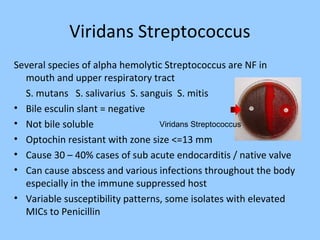 Viridans Streptococcus
Several species of alpha hemolytic Streptococcus are NF in
mouth and upper respiratory tract
S. mutans S. salivarius S. sanguis S. mitis
• Bile esculin slant = negative
• Not bile soluble
• Optochin resistant with zone size <=13 mm
• Cause 30 – 40% cases of sub acute endocarditis / native valve
• Can cause abscess and various infections throughout the body
especially in the immune suppressed host
• Variable susceptibility patterns, some isolates with elevated
MICs to Penicillin
Viridans Streptococcus
 