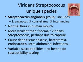 Viridans Streptococcus
unique species
• Streptococcus anginosis group: includes
– S. anginosus S. constellatus S. intermedius
• Normal flora in human mouth
• More virulent than “normal” viridans
Streptococcus, perhaps due to capsule
• Cause deep tissue abscess, bacteremia,
endocarditis, intra abdominal infections…
• Variable susceptibilities – so best to do
susceptibility testing
 